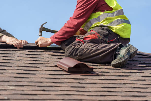 Best Metal Roofing Contractor  in Winnebago, IL