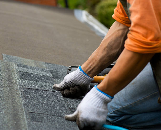 Best Roof Maintenance Services  in Winnebago, IL
