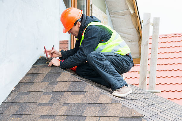 Best Shingle Roofing Installation  in Winnebago, IL