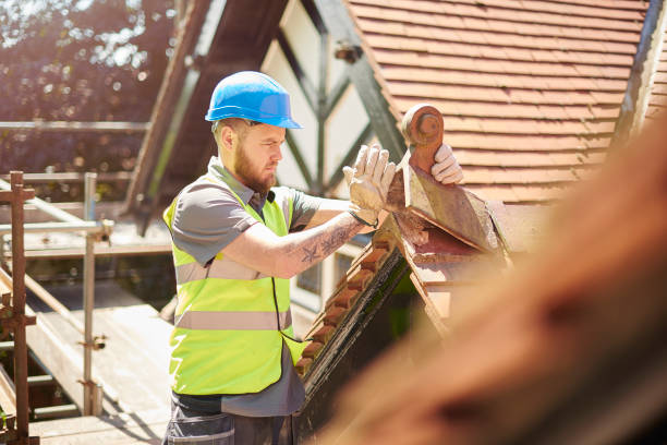 Best Roof Repair Services  in Winnebago, IL