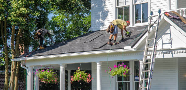 Best Roof Leak Repair  in Winnebago, IL
