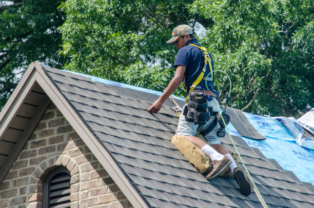 Roof Gutter Cleaning in Winnebago, IL